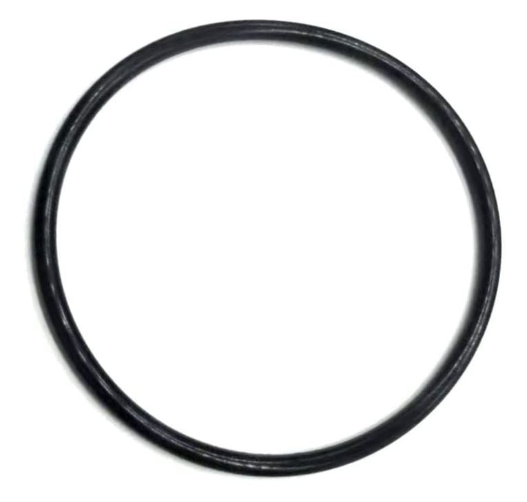 CLEAN & CLEAR FILTER BODY O-RING - 0-343-0