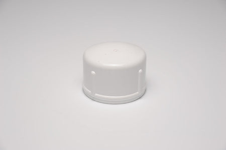 2 inch threaded cap 05939 for professional pool plumbing systems and contractor installations
