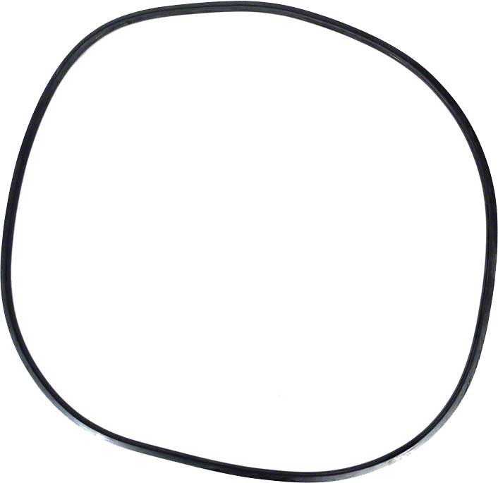 PENTAIR O-RING TANK FNS FILTER - 195008