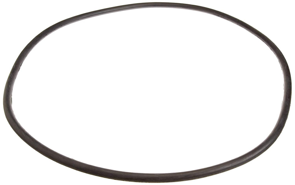 PENTAIR S/R S7M120 TANK O-RING 21" - 24850-0008