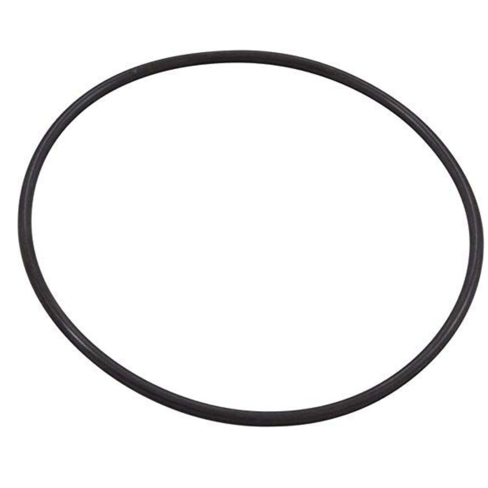Pentair 351446 XF series pump seal plate O-ring replacement part for pool service professionals