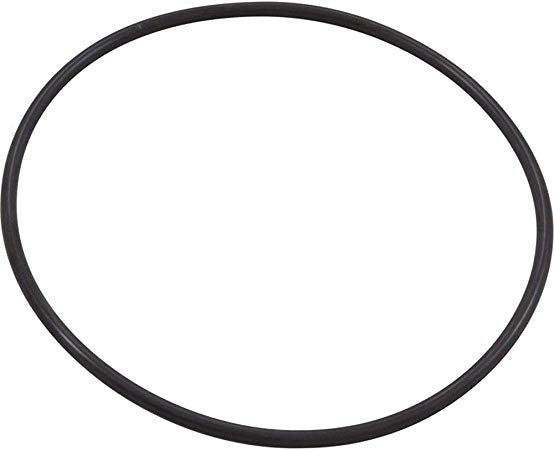 PENTAIR XF SERIES PUMP SEAL PLATE O-RING - 351446