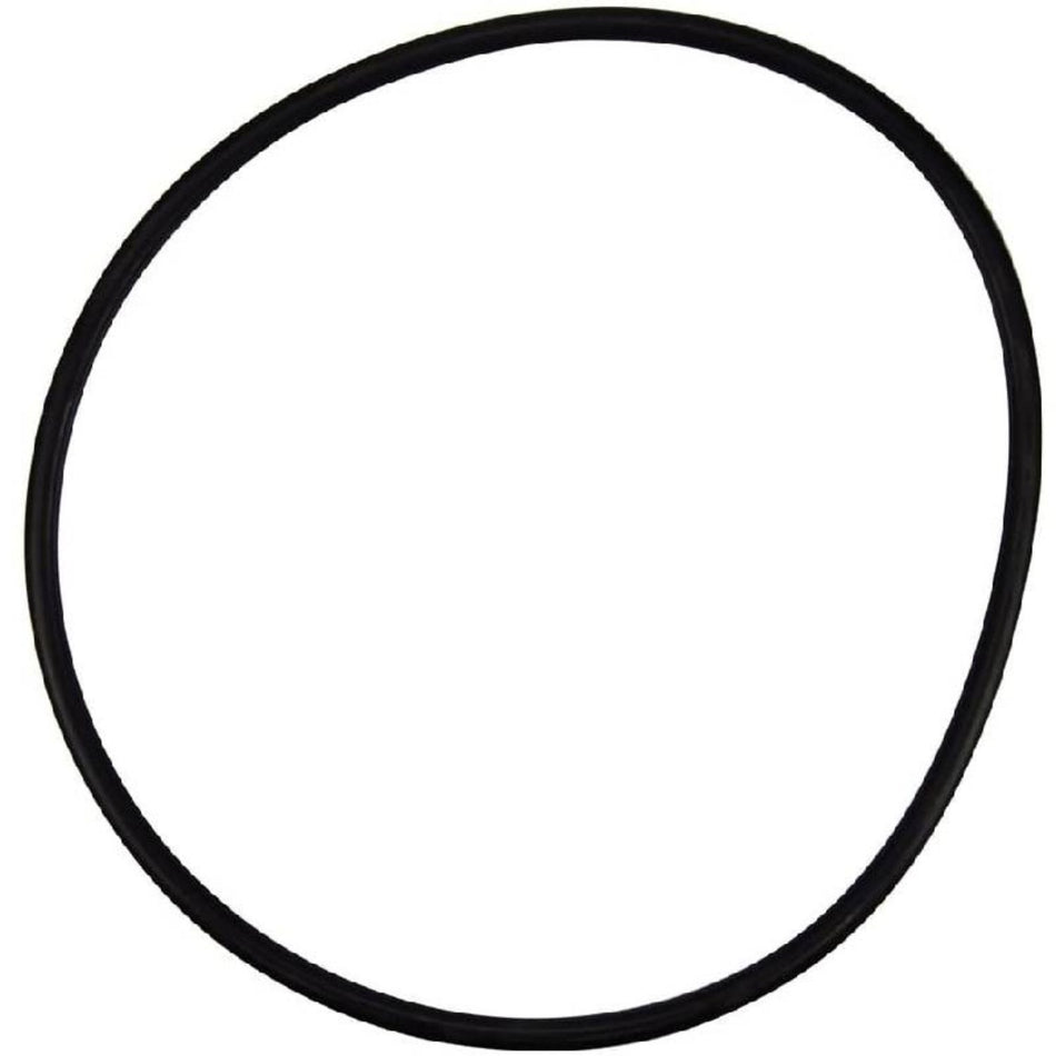 Pentair 356780 O-ring seal plate for EQ Series commercial pool pumps - genuine replacement part for contractors