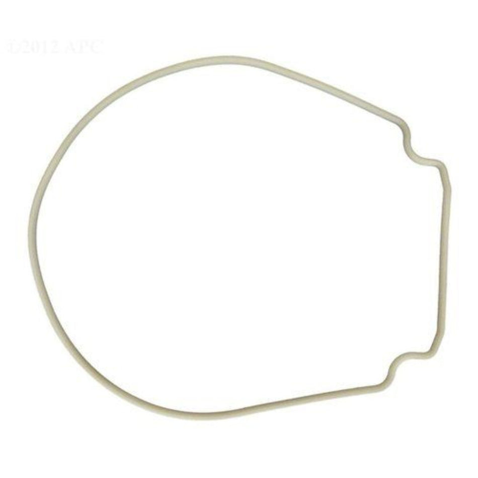 PENTAIR ALMOND GASKET FOR SEAL PLATE - 357102