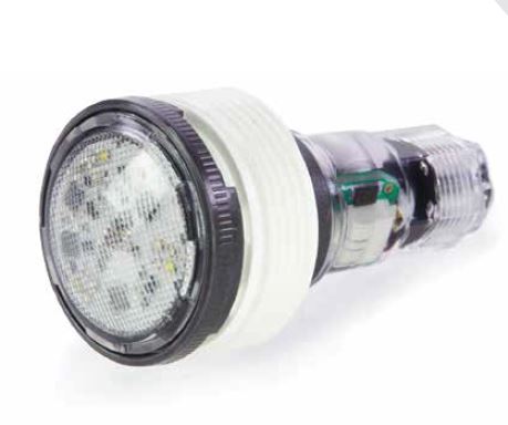 PENTAIR MICROBRITE COLOR LED LIGHT 50' - 620424