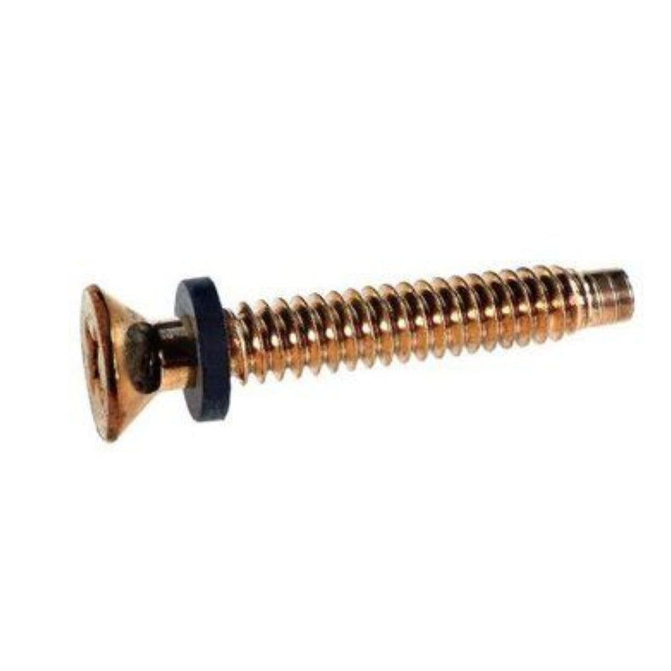 Pentair 79104800Z brass pilot screw with captive rubber washer for IntelliBrite and Spectrum pool light installation