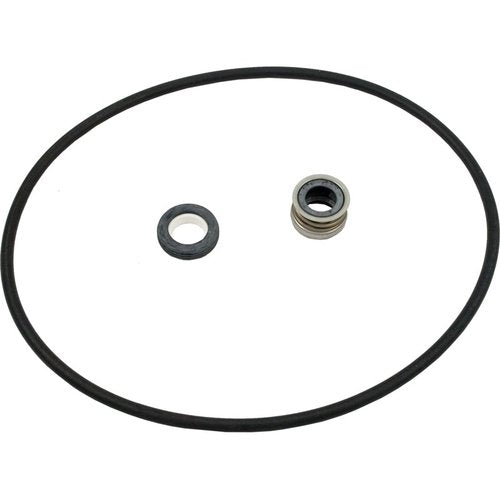 PENTAIR S/R DURA GLASS II SEAL PLATE KIT - C203-194P