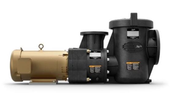 Jandy JCP103ATS 10HP TEFC commercial pool pump with strainer for professional pool contractors and commercial installations