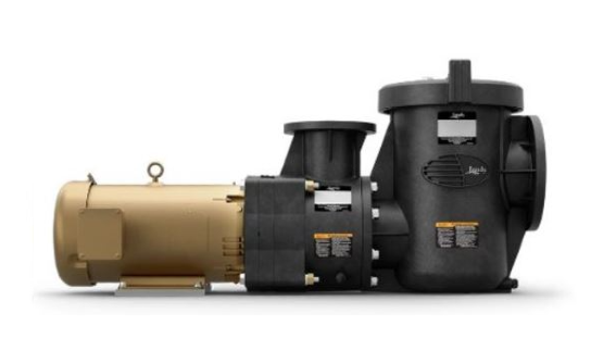 JCP PUMP W/ STRAINER TEFC 10 HP 3 PH - JCP103ATS