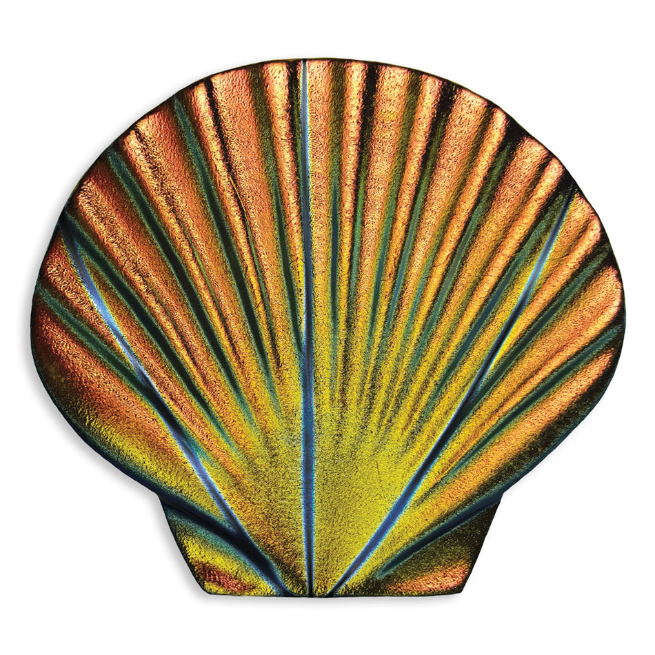 SEASHELL MOSAIC 5'' - RAINBOW - MSSHRAIB