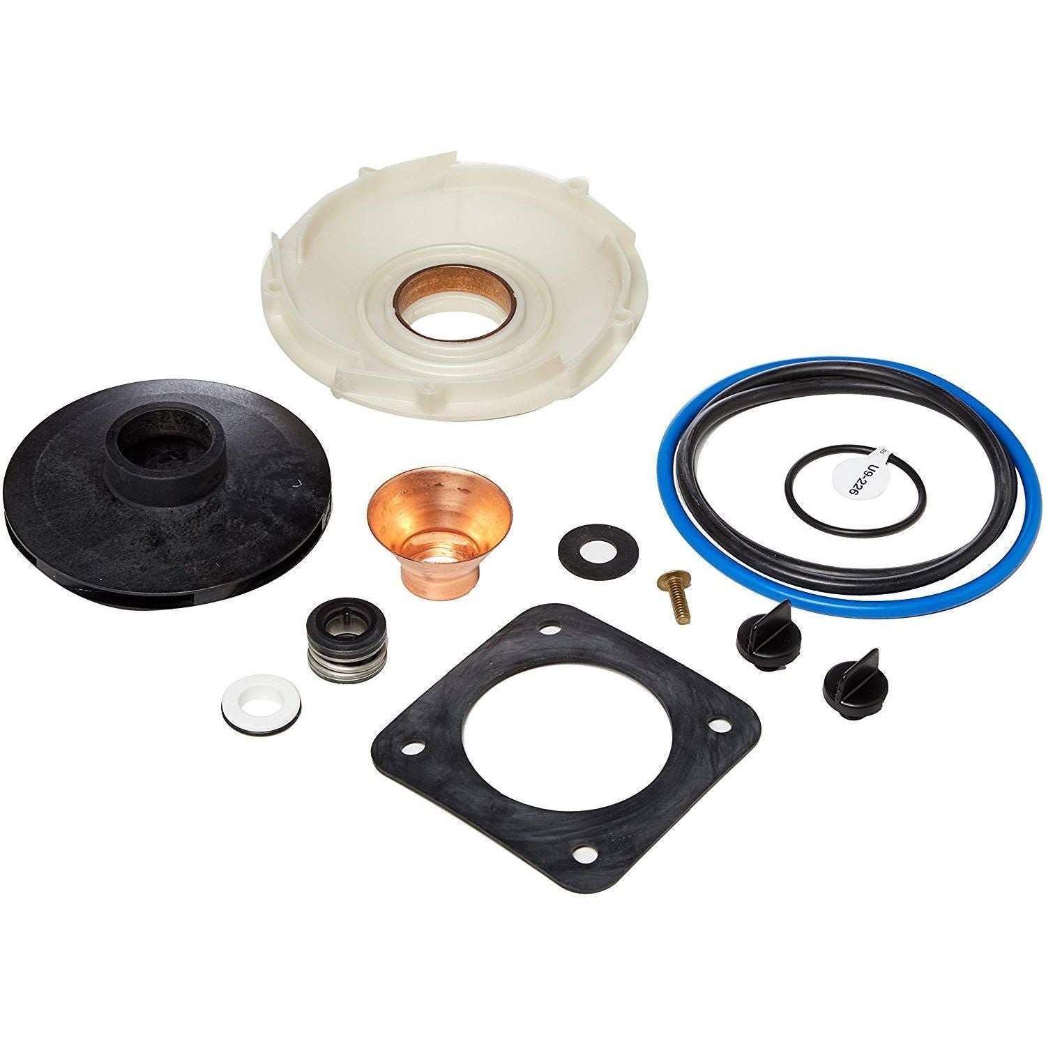 Pentair Sta-Rite PP1017 complete overhaul replacement kit with impeller, seals, gaskets for pool contractor pump service