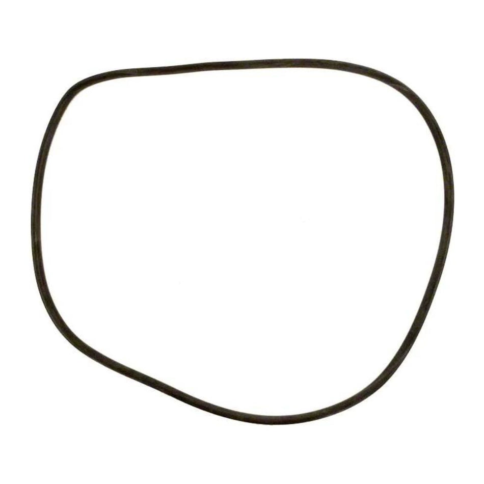 Jandy R0357800 tank O-ring and center strap replacement kit for professional pool filter maintenance