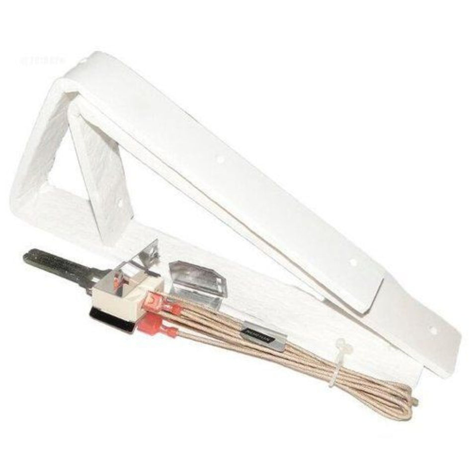 Jandy R0386900 hot surface ignitor kit with flame sensor and hardware for LX LT Low NOx pool heater repair by professional contractors