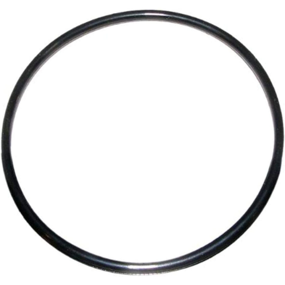 Jandy R0412700 2-inch rubber O-ring for AquaPure water sanitizer union connections used by pool contractors
