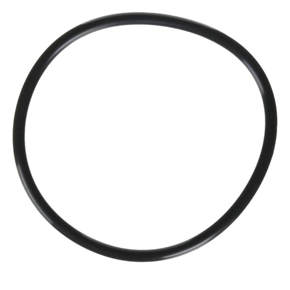 Zodiac Jandy FloPro lid O-ring R0480200 replacement seal for pool contractor pump maintenance