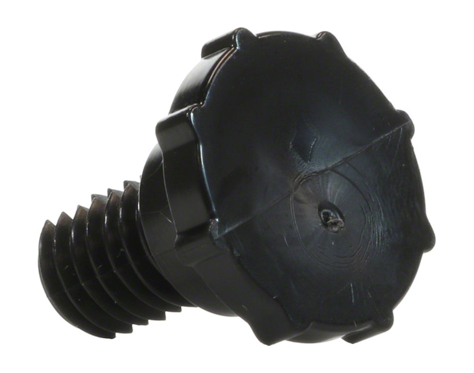 PENTAIR DRAIN VENT BLACK - R172224X