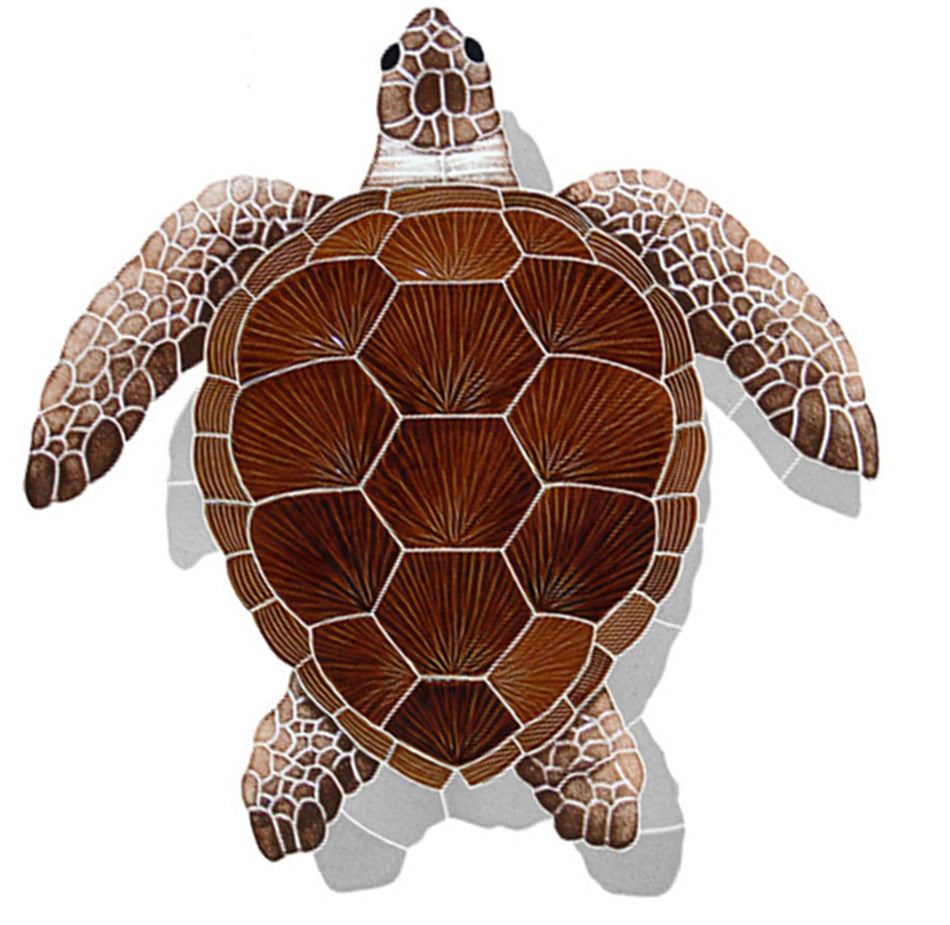 LOGGERHEAD TURTLE BRWN W/ SHDW FIGURE LG - TLSBROL