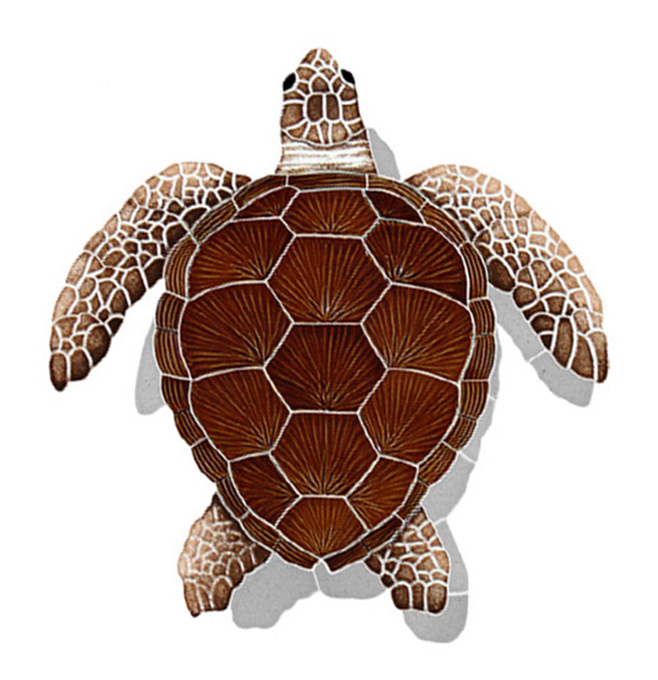 LOGGERHEAD TURTLE BRWN W/ SHDW FIGURE M - TLSBROM